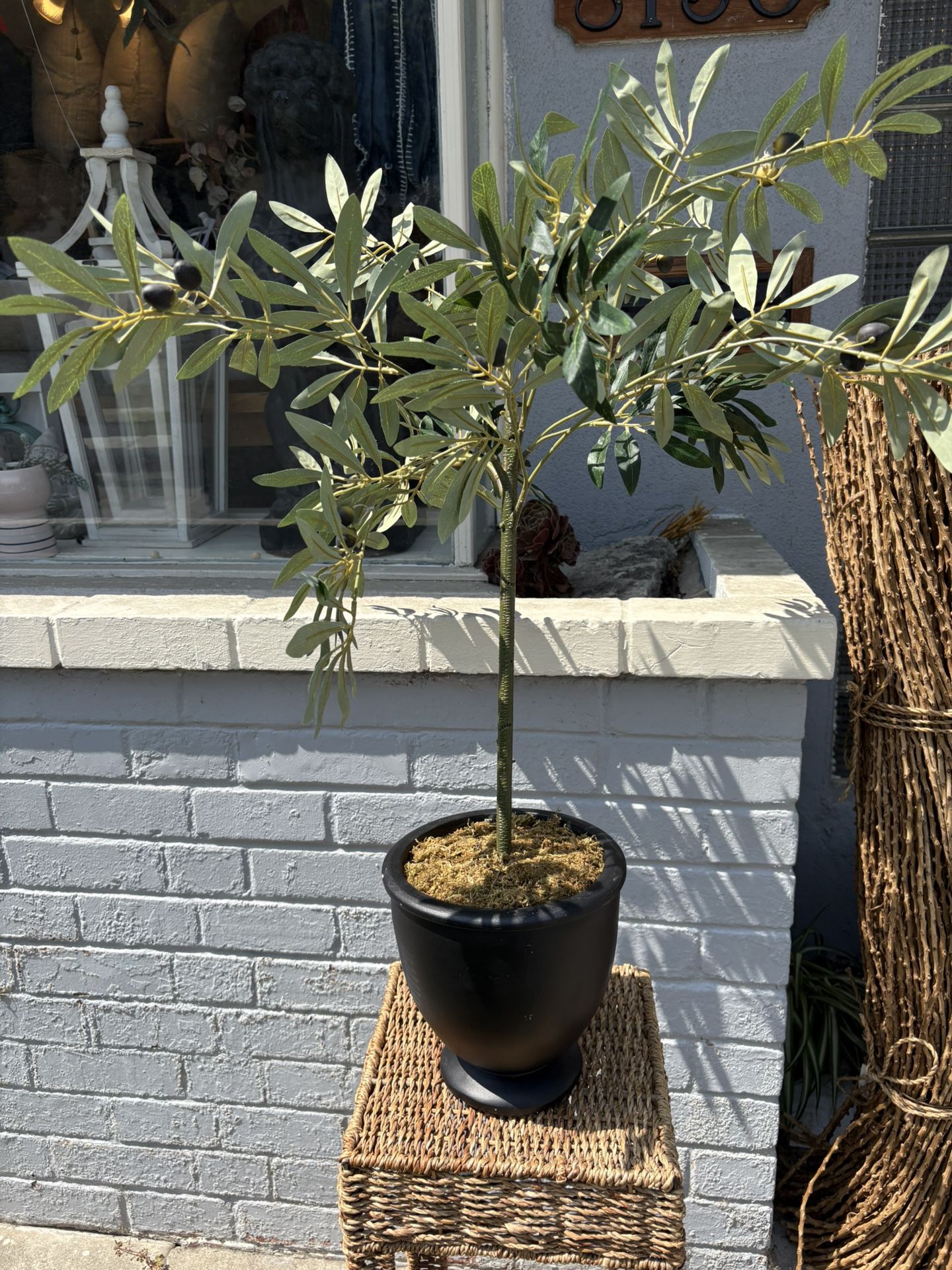 Olive Tree in Pot Artificial Plant from Threshold