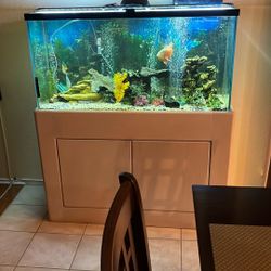 70 Gallon Fish Tank