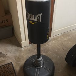 Everlast Punching Bag