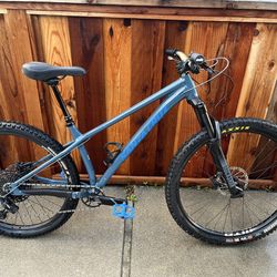 Santa Cruz Chameleon Mx wheels Mountain Bike