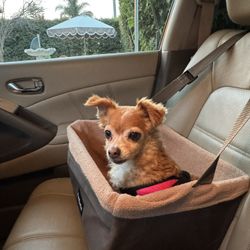 Pet Car Seat