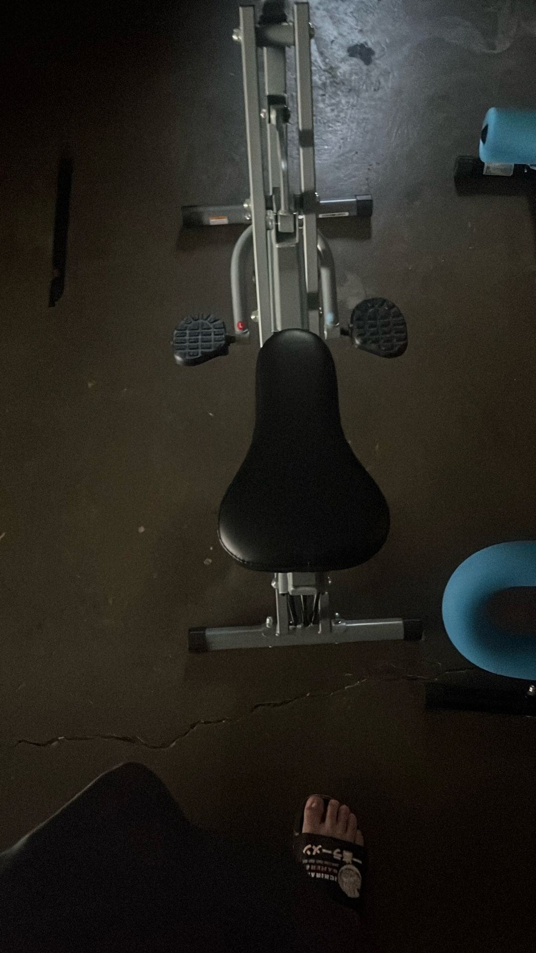 Sunny Health & Fitness Upright Row-N-Rider Exerciser