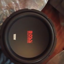 2 Boss 10"Subs