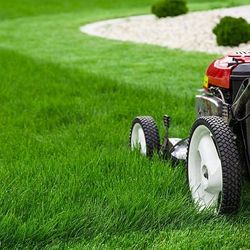 Lawn Mower 