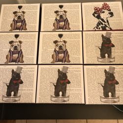 Bulldog, Scottish Terroir Dalmation
