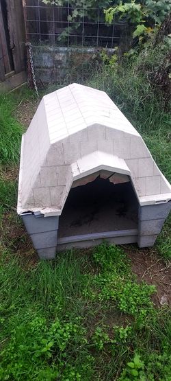Dog House