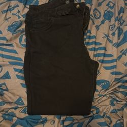 Women’s Size 13 Pants