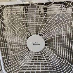 Box Fan 20”