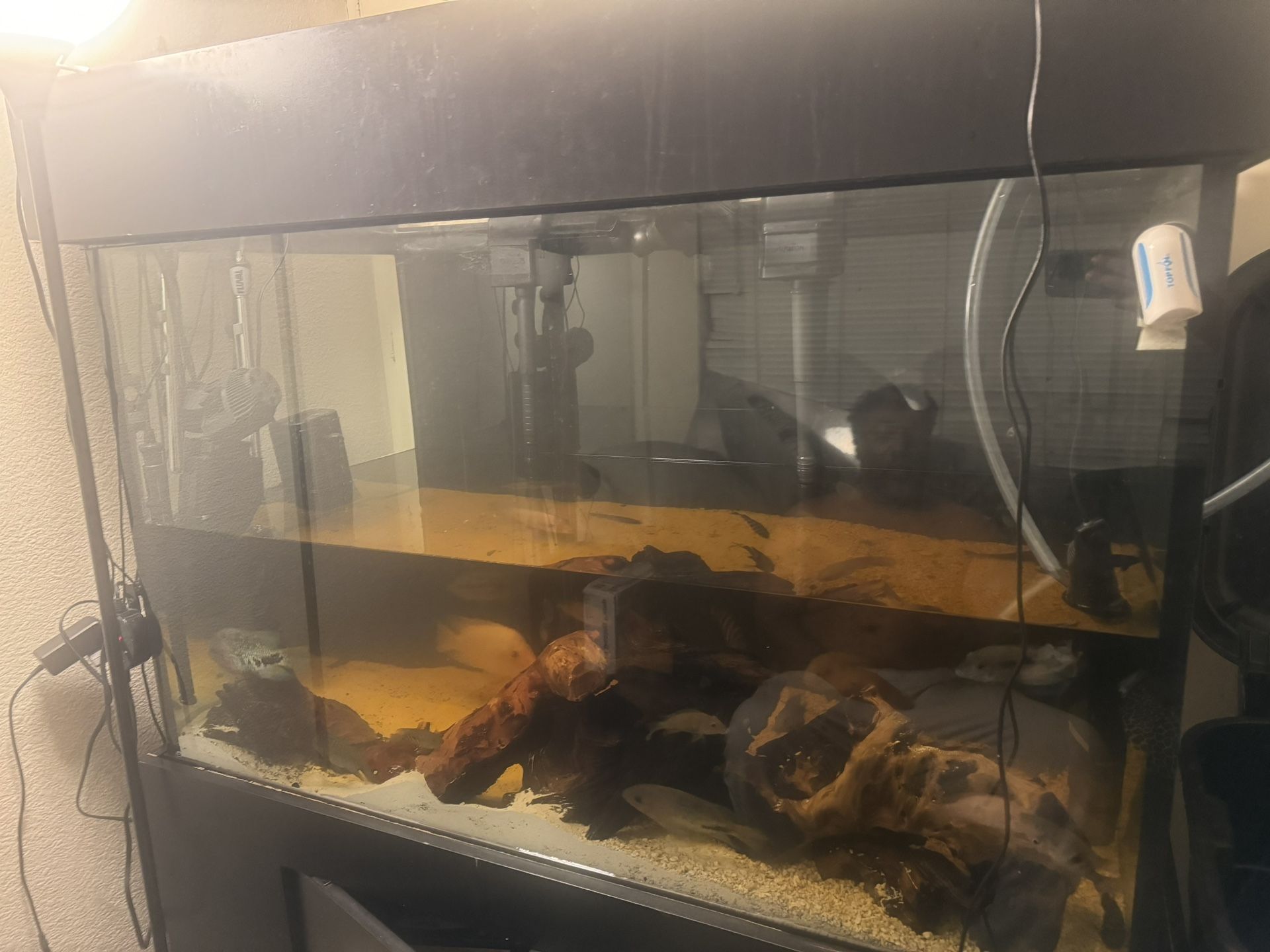 Free 150 Gallon Tank 