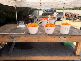 Fresh Peaches
