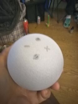 Amazon echo dot max