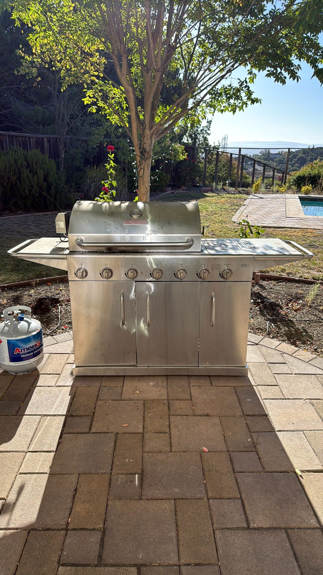 Grill For Sale $99