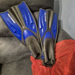 Scuba flippers