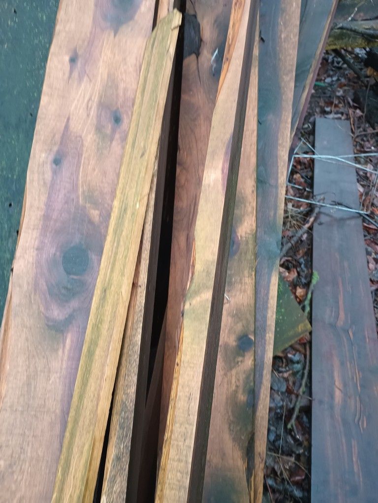 Cedar Lumber Straight Still And Logs For Carving 