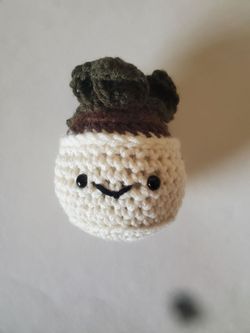 Crotchet succulent amigurumi