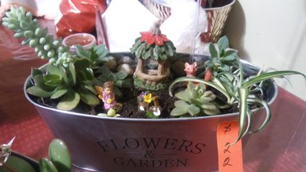 Mini garden
