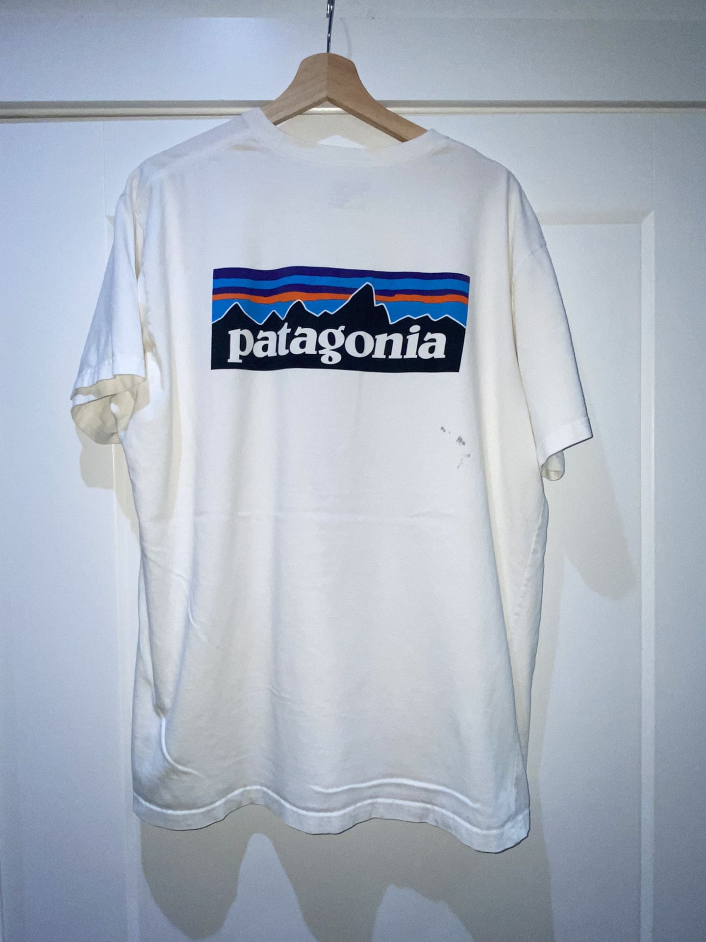 Patagonia Big Logo T Shirt 