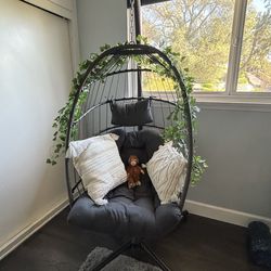 Egg Swing Chair