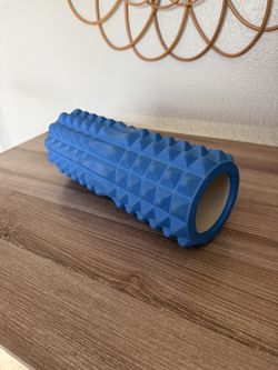 13 Inch Back Roller