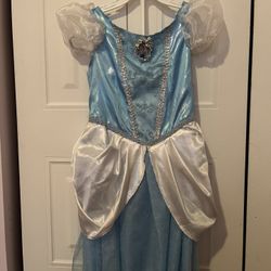 Cinderella Costume 