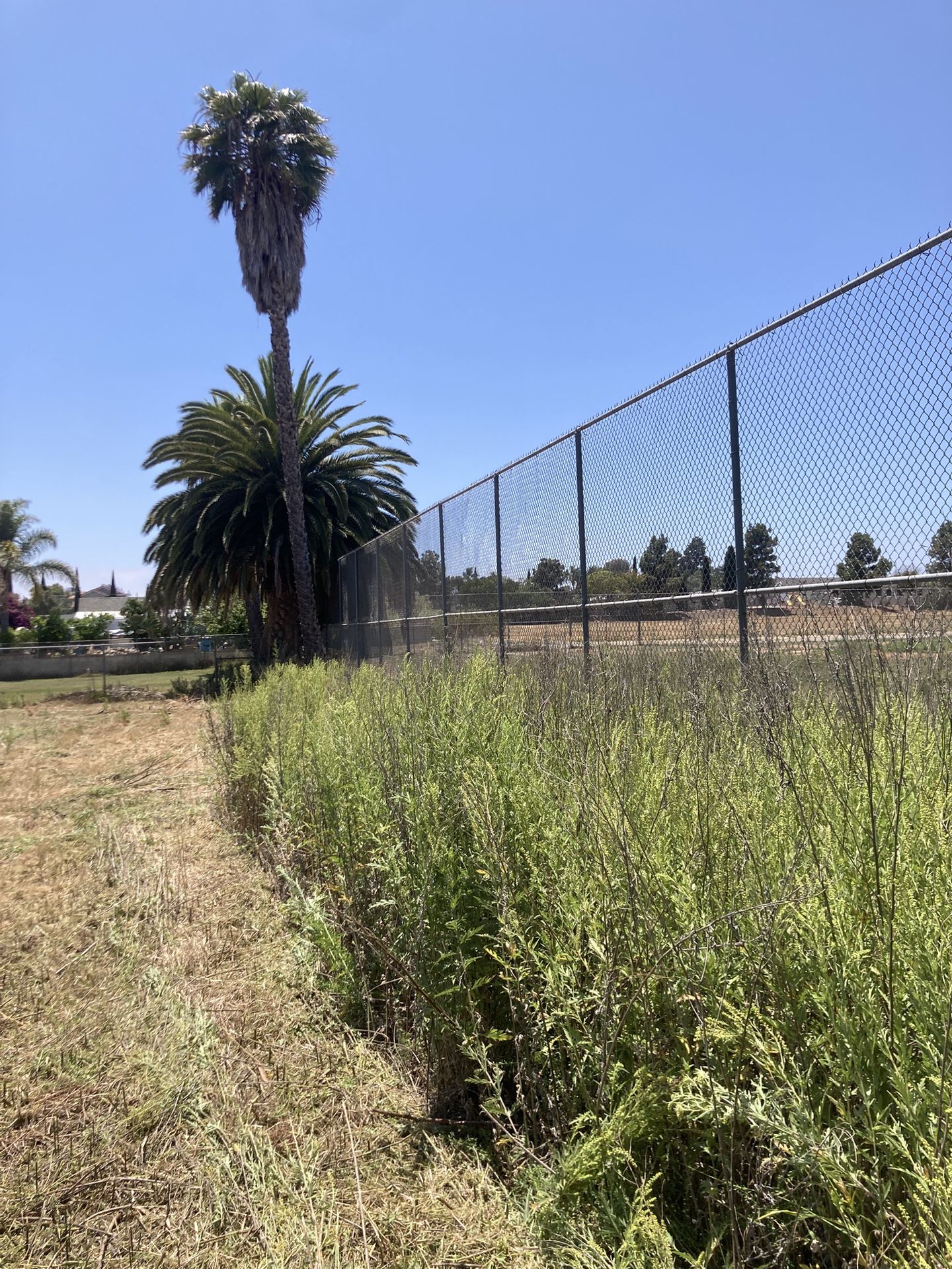 Brush Clearing/weed Abatement