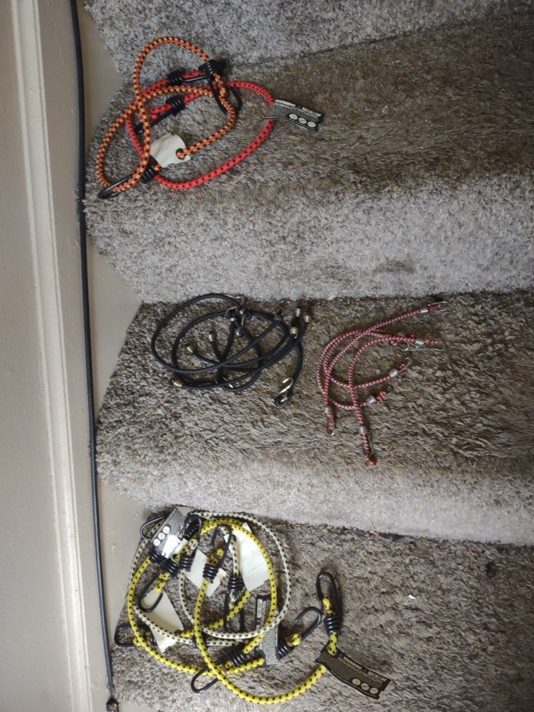 Set Of 18 Like New Assorted Size Bungee Cords