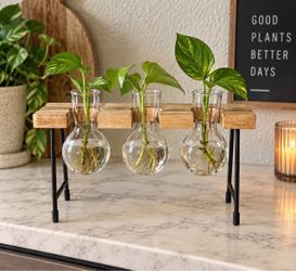 3-Glass Plant Propagation Station