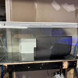 35.2 Gallon Fluval Flex