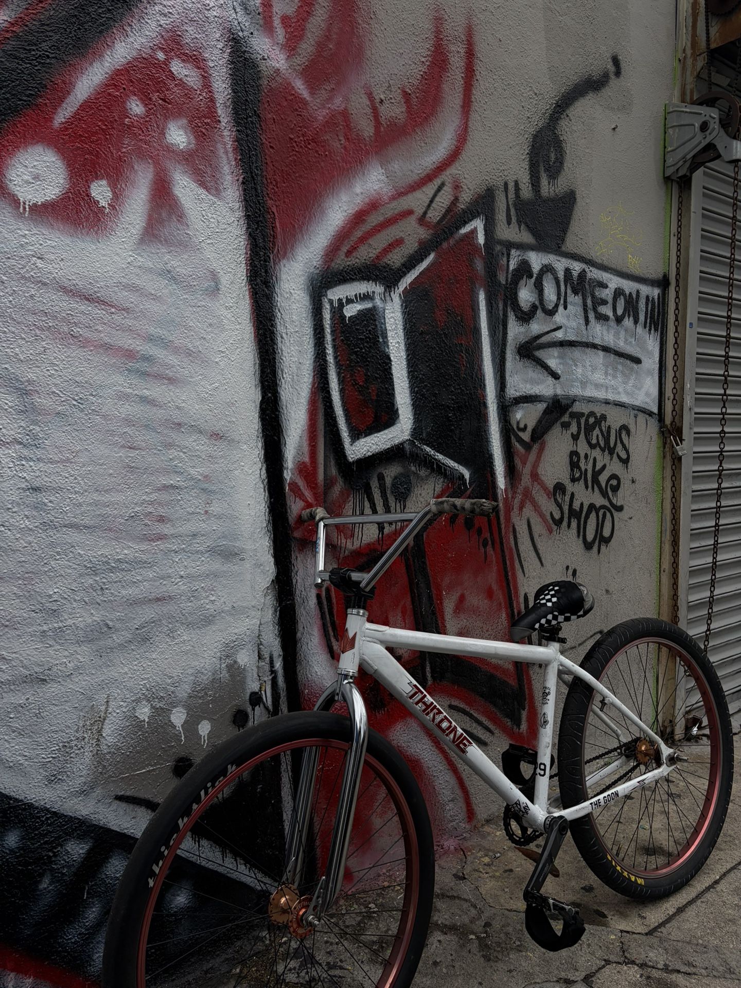 throne 29er