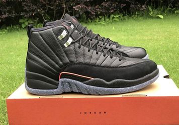 Air Jordan 12 Retro