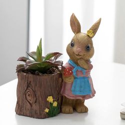 Succulent Pots(never Used )