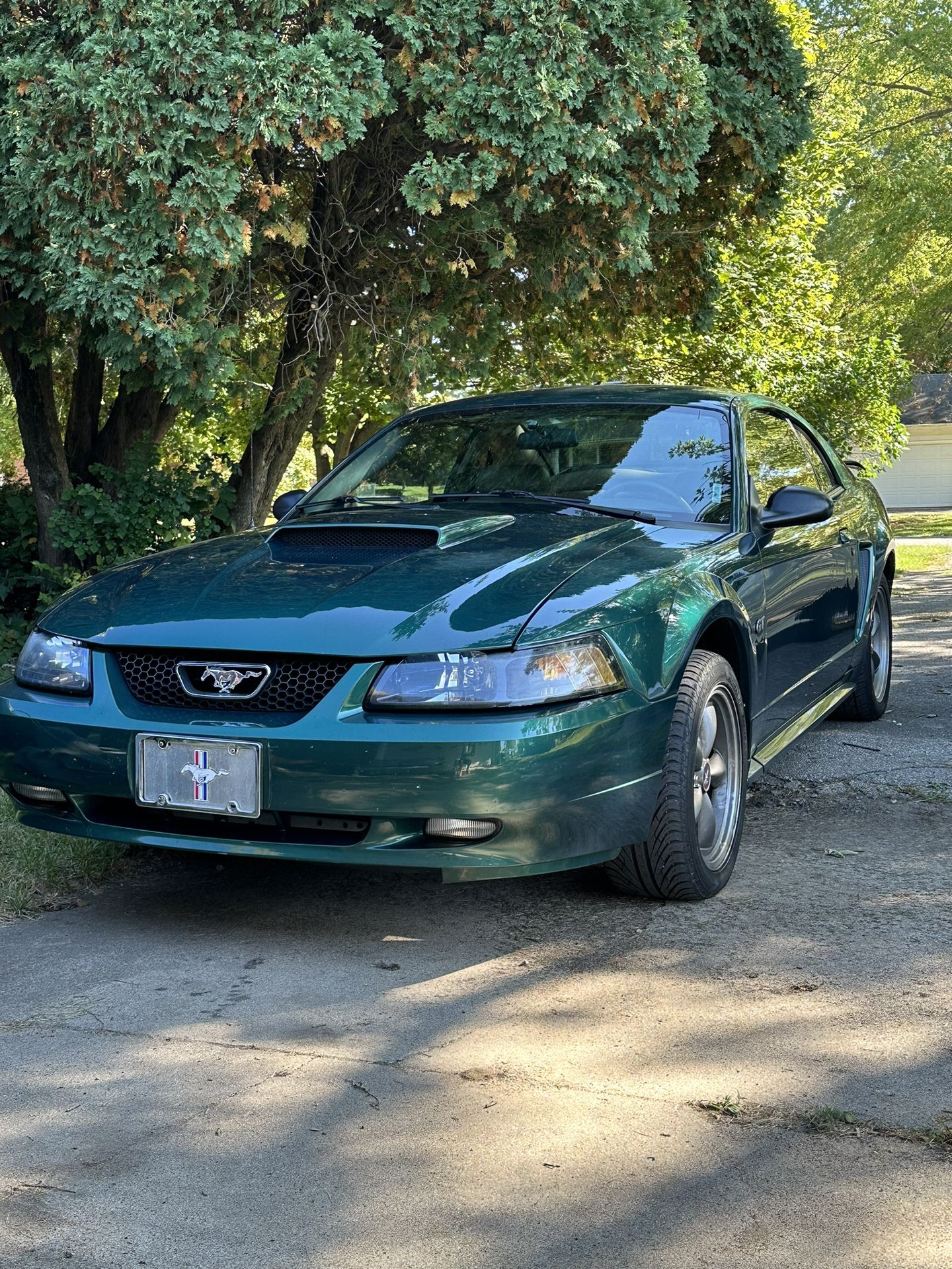 2003 Ford Mustang