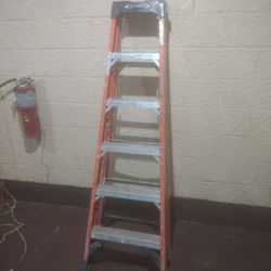 6ft Ladder