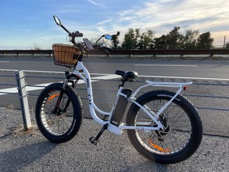 Big Cat E-Bike