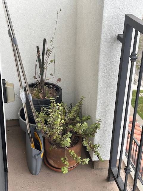 Small Plant Pot