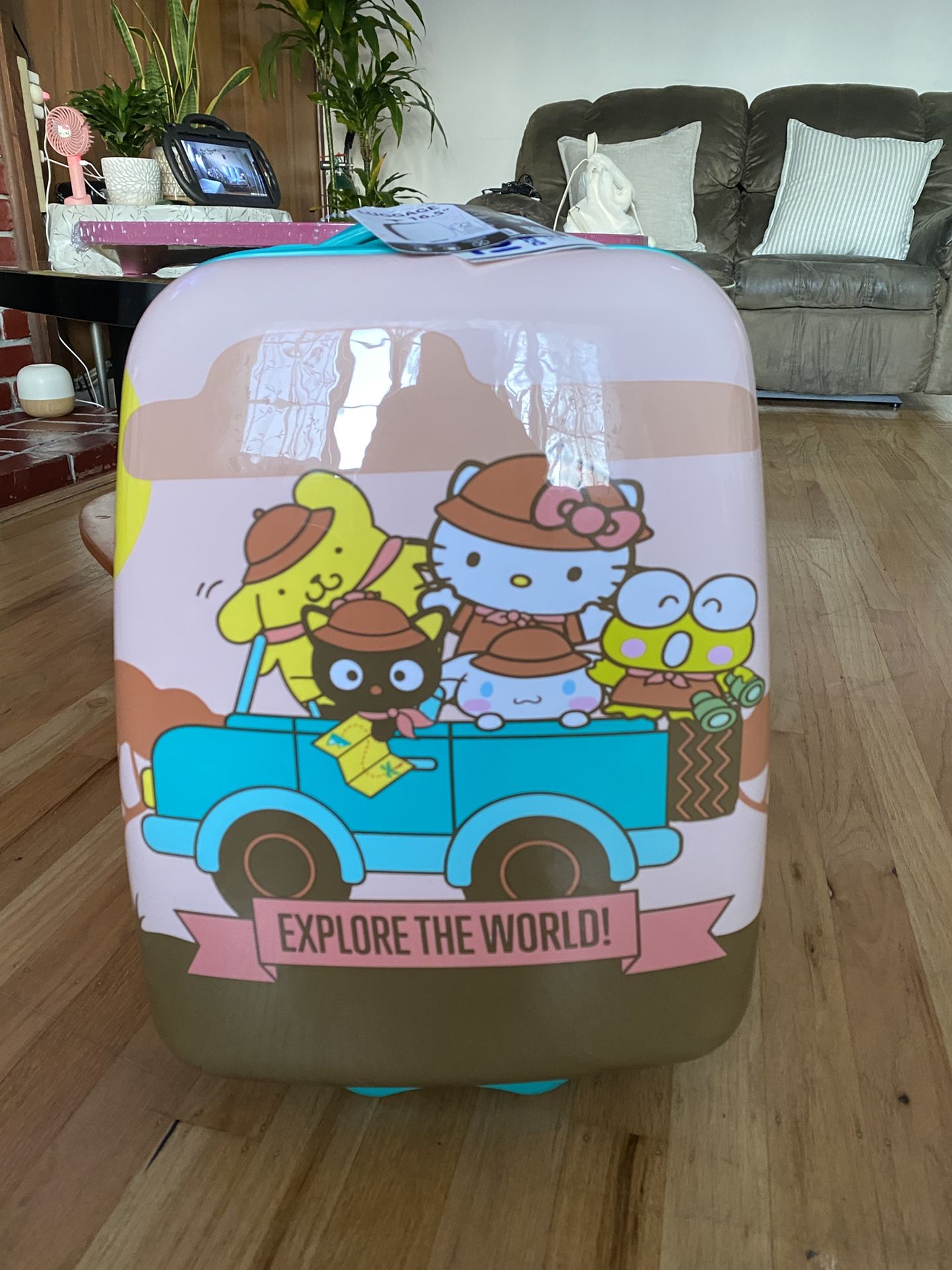 Hello Kitty Carry on luggage