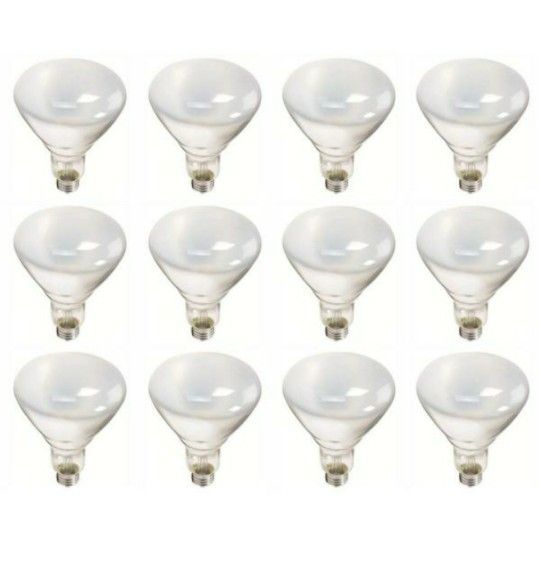 Philips 65-Watt BR40 Incandescent Flood Light Bulb