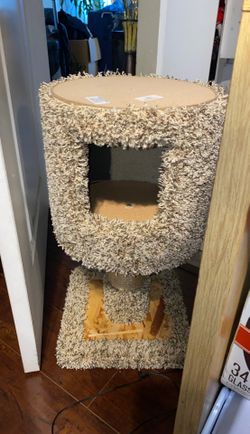 Brand new for cats