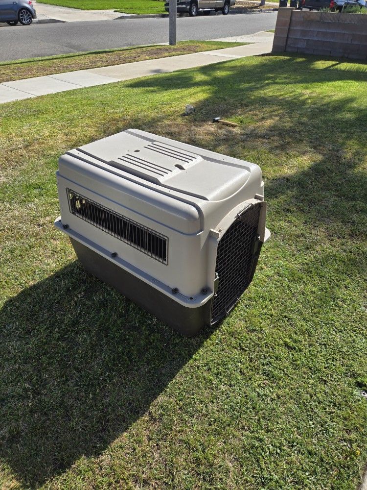 Dog Kennel 