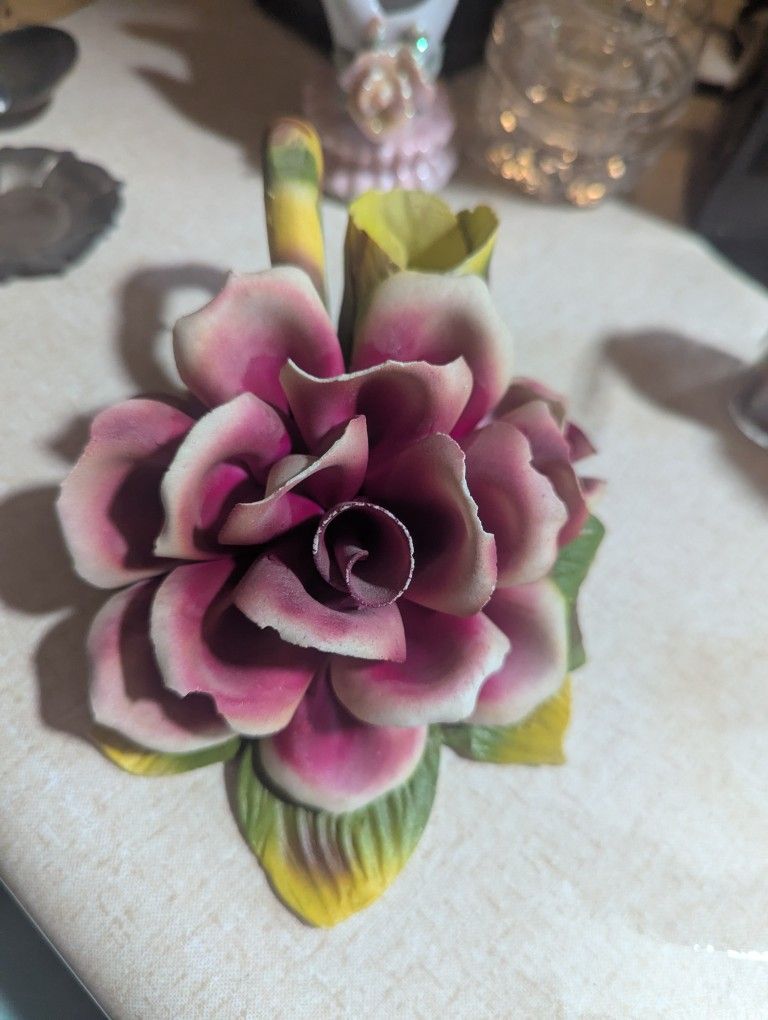 Porcelain Rose