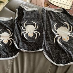 Halloween Spider Shirt For Dogs 