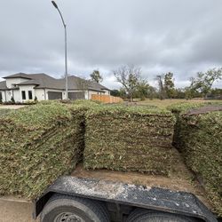 Fresh Sod Available With Delivery And Installation 