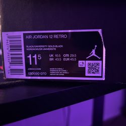 Jordan 12 (yellow And Gold)