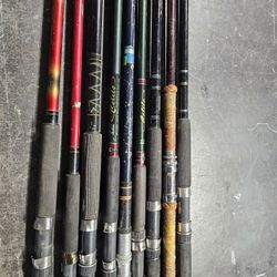 Fishing Rod
