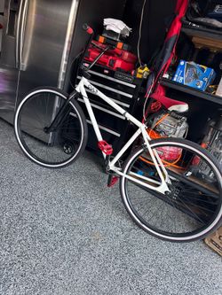 Cult 29er