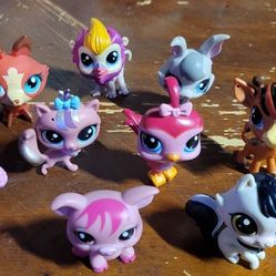 Little Pet Shop