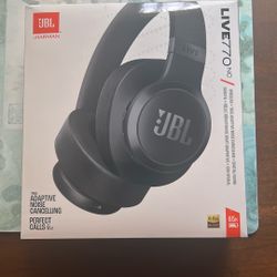 Custom JBL headphones 