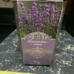 NEW TRADER JOES LAVENDER GROW KIT