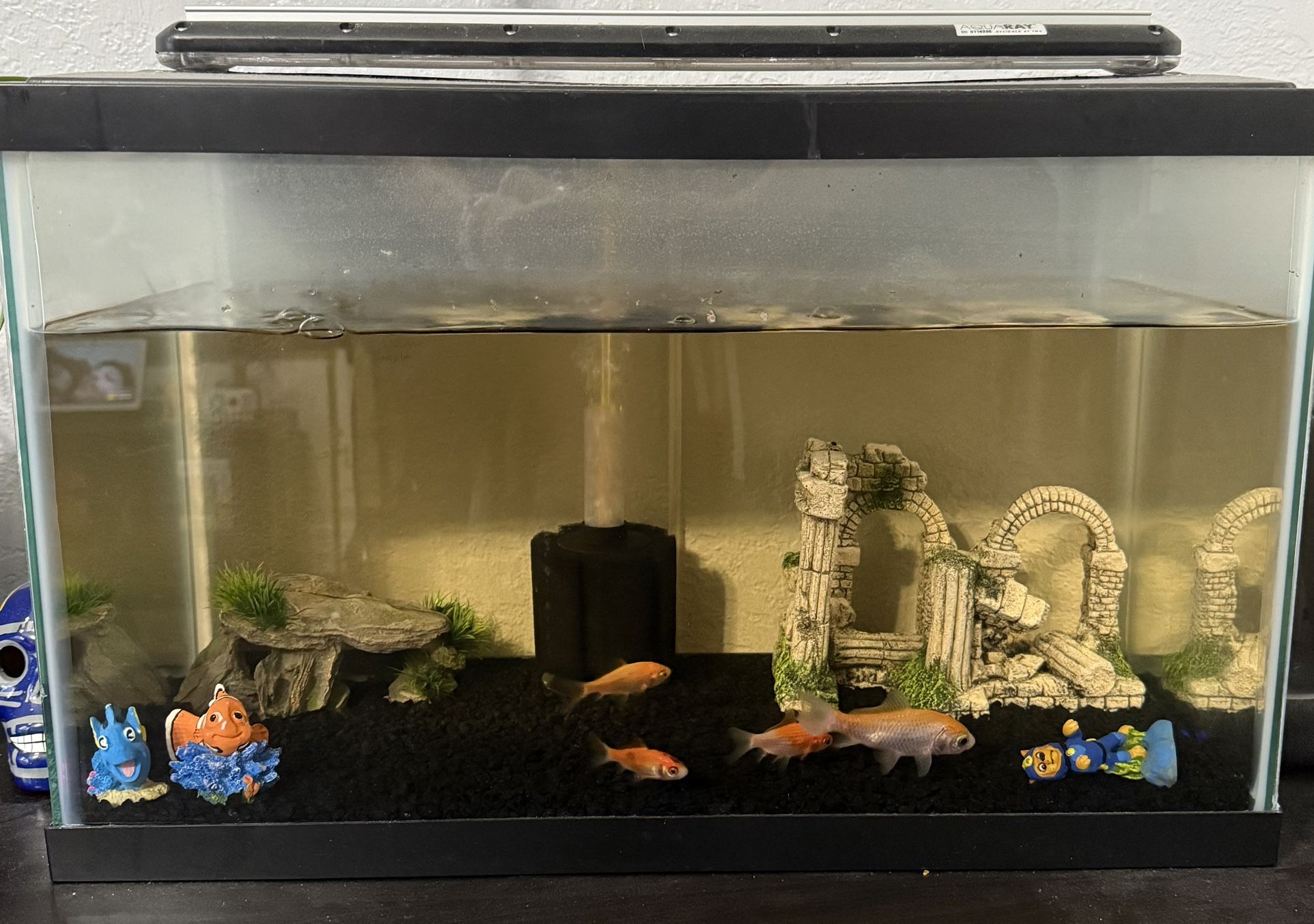 ten gallon fish tank and five gold fish