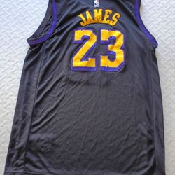 LeBron James Wish Jersey 2X